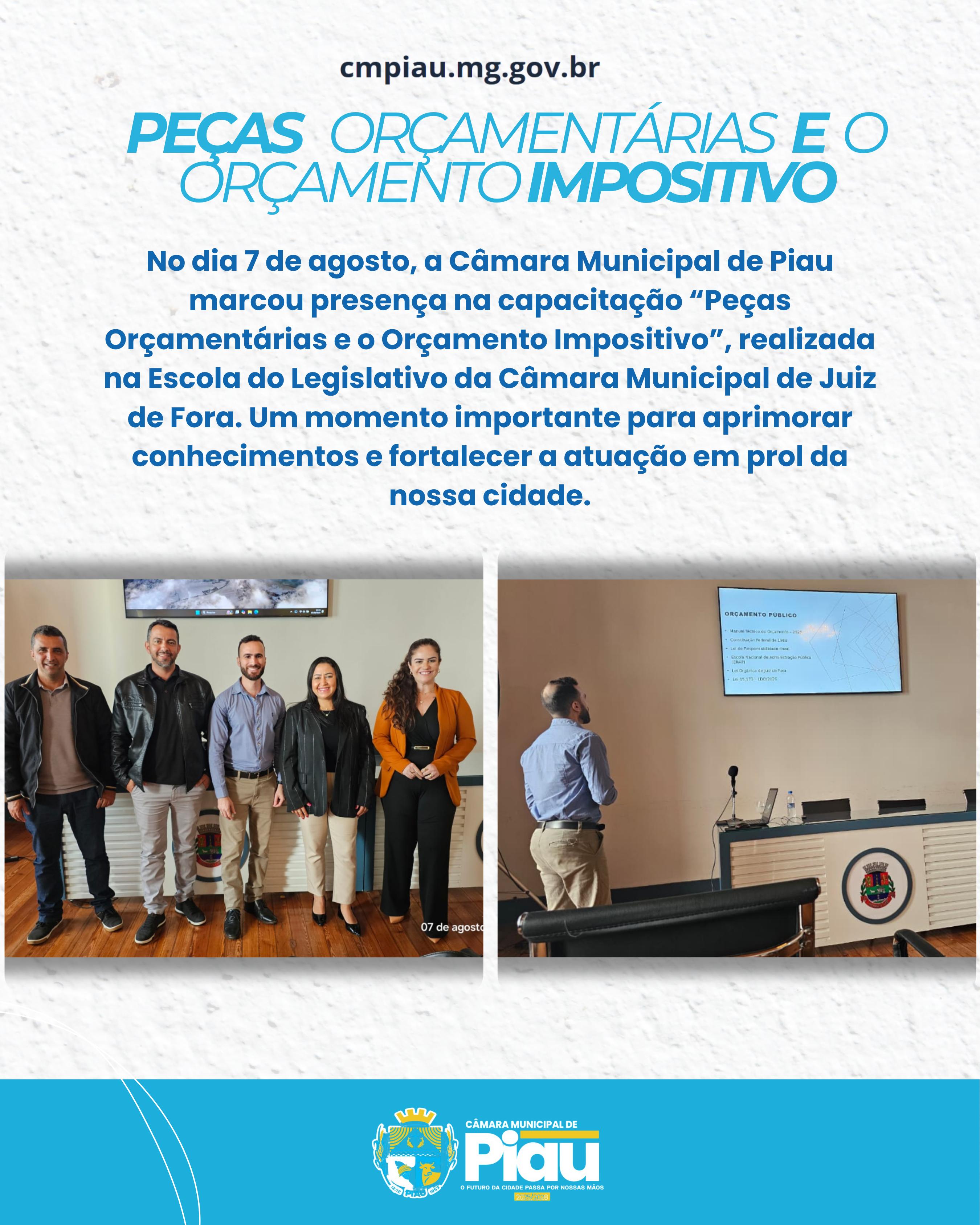 No dia 7 de agosto, a Câmara Municipal de Piau marcou presença na capacitação 